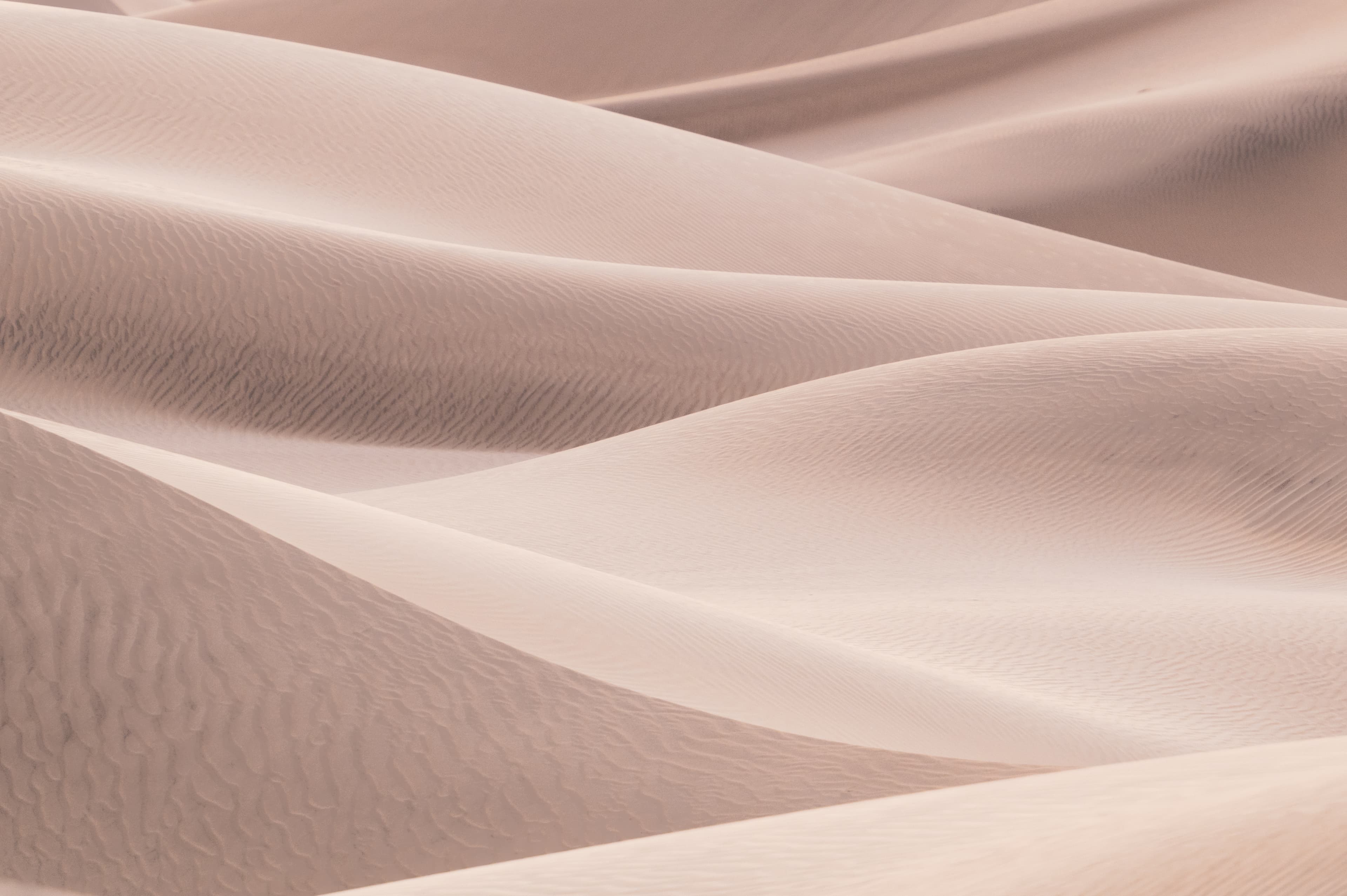 Design Meets Strategy in the Digital Era: Paving the Path to Success
